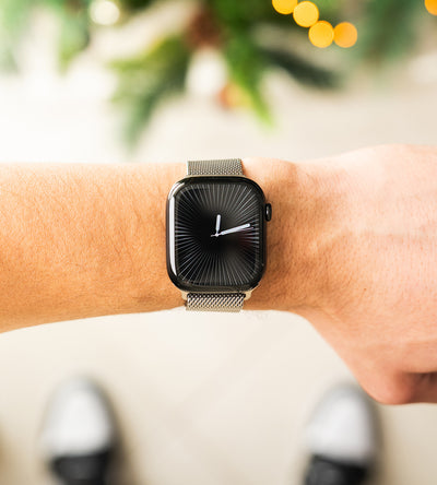 KUXIU Titanium Silk Magnetic Band for Apple Watch - Titanium